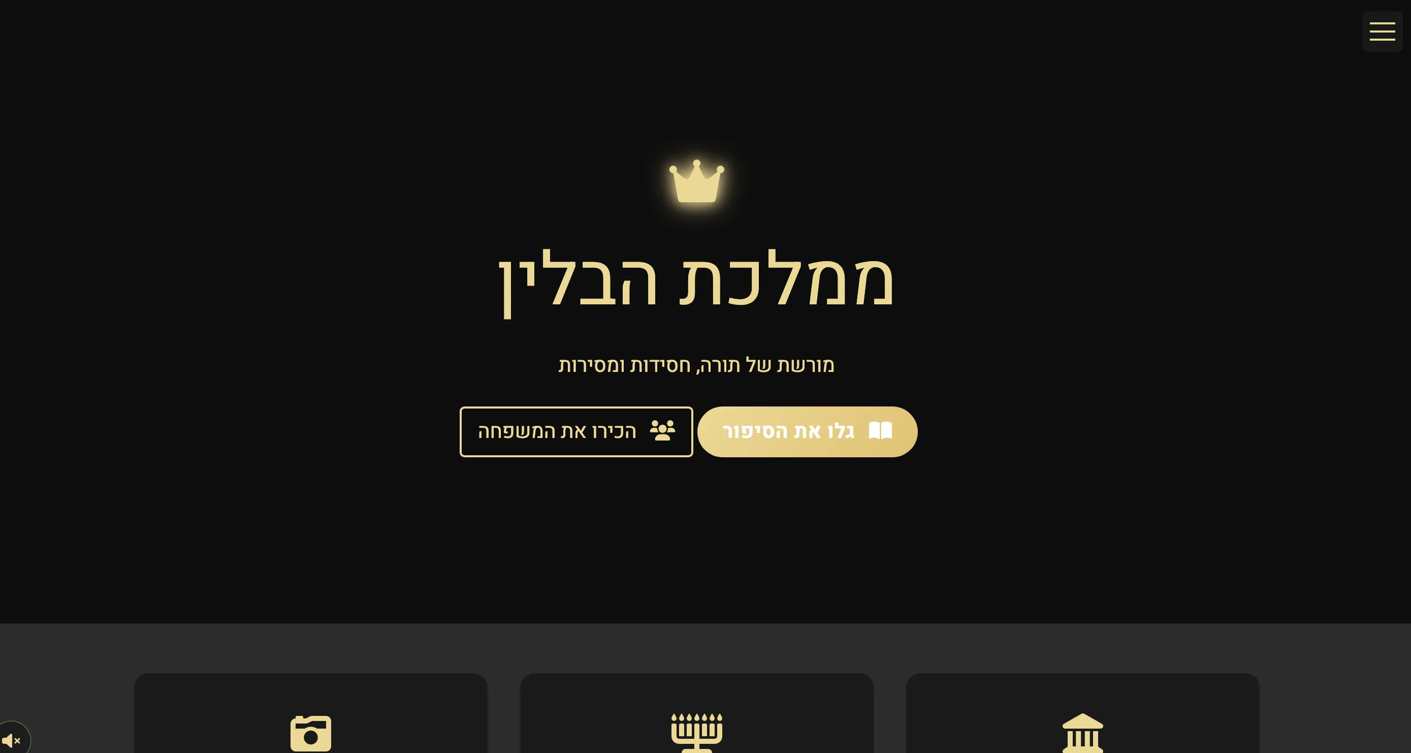 Havlin Family Website Preview